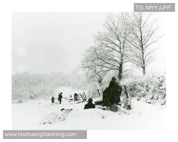 伐木者在新英格兰的挑战与机遇探讨:一场关于勇气与智慧的较量 伐木者在新英格兰的挑战与机遇探讨:一场关于勇气与智慧的较量